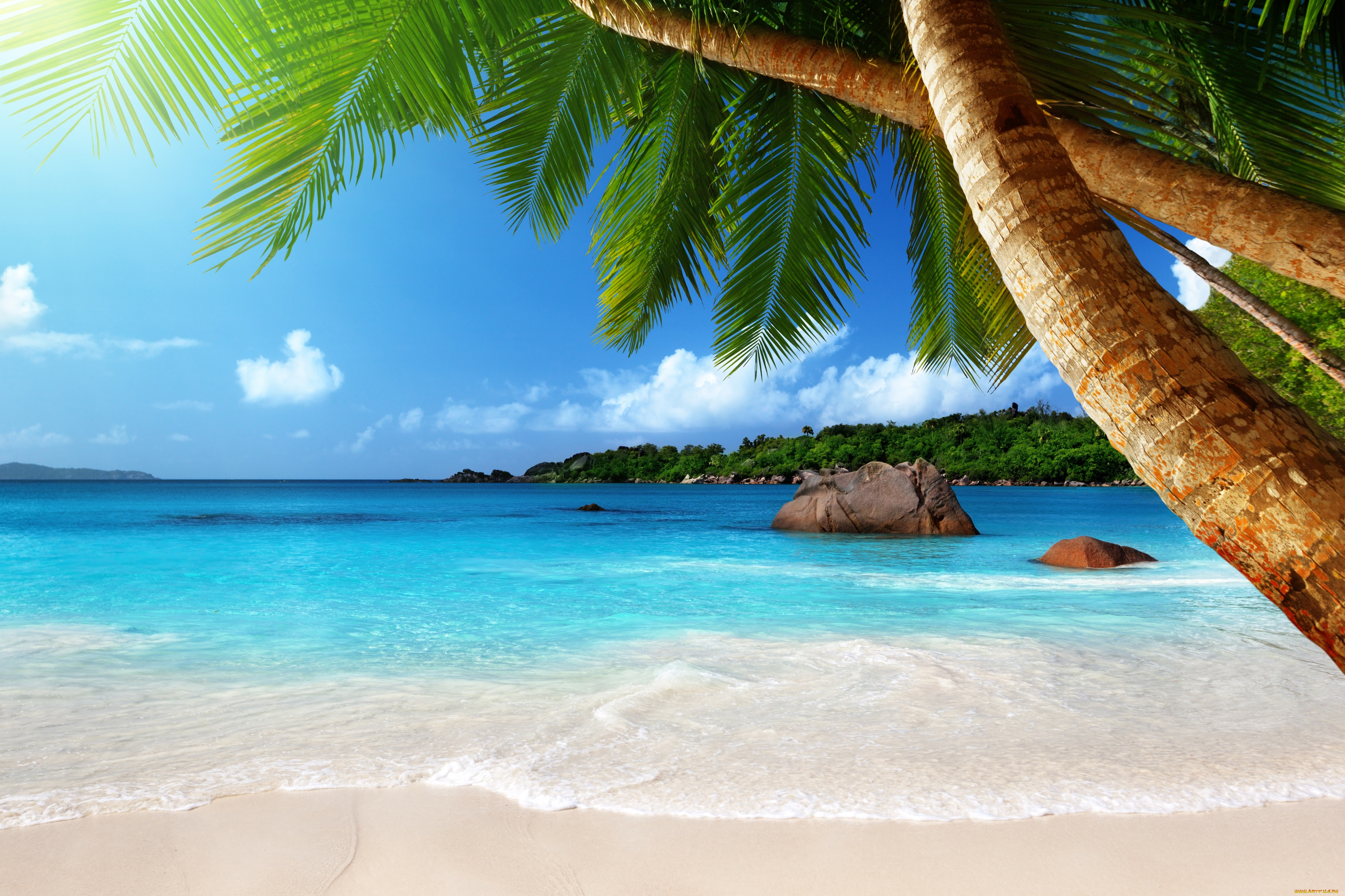 , , , , , , emerald, vacation, sand, summer, palm, ocean, blue, sea, coast, beach, paradise, tropical, , , , 